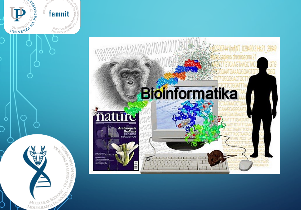 Delavnica iz bioinformatike za dijake GJP